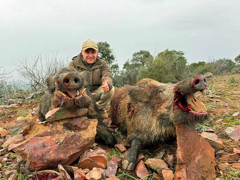 Resultado Montería Sierras del Cijara 2024 Dehesas Sierras del Cijara